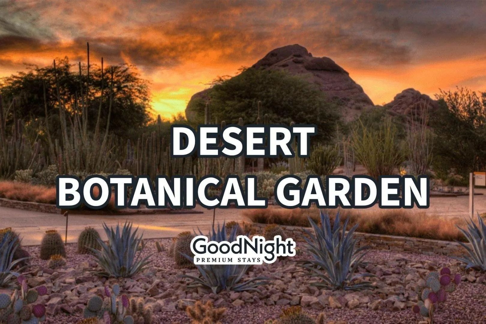 Tatil Evi Dawn - Walk To Old Town Scottsdale & Bars Villa